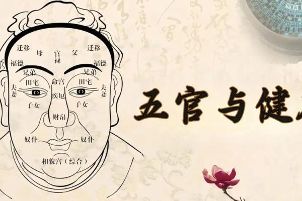 人脸五行解析：了解面相与五行的神奇关系