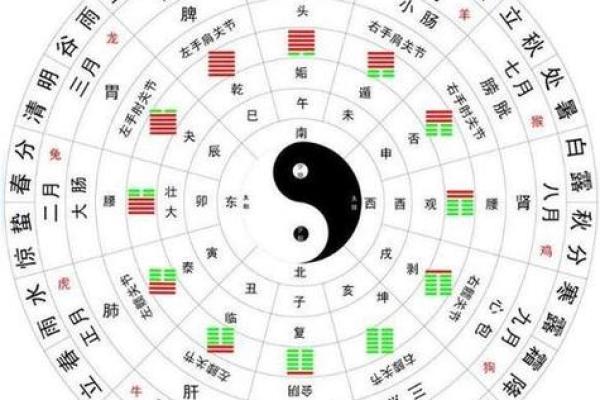 字命理：如何运用命运走向更好的未来