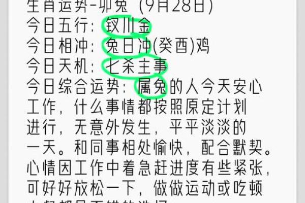 属兔人运势全解析：好运与挑战并存