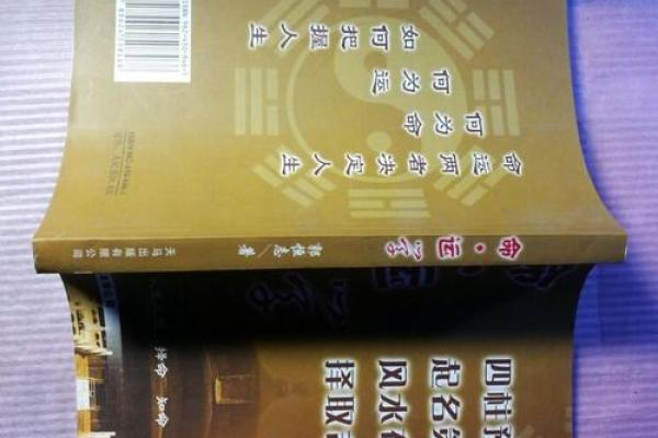 金牛区家居风水布局指南，助你家运旺盛