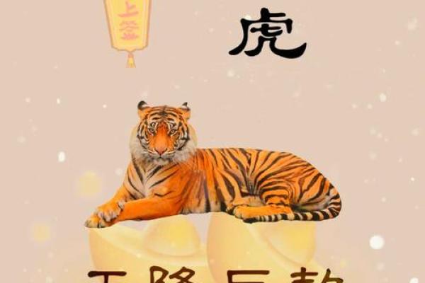 属虎在的财富、事业与感情运势详解