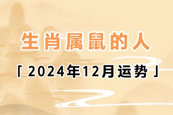 出生的鼠年人运势详解