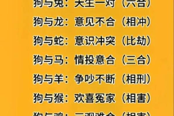 从生肖角度看男属鸡女属狗的合适度