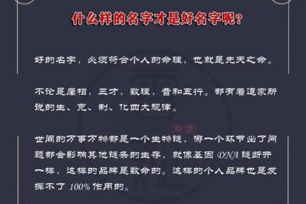 名字的力量：如何影响一个人的人生轨迹