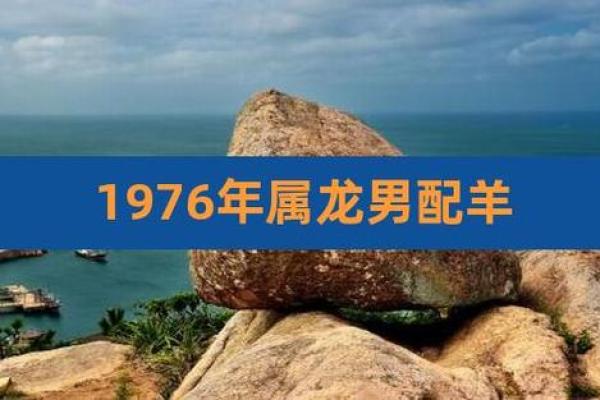 属龙男女相配度分析：是否能携手一生？