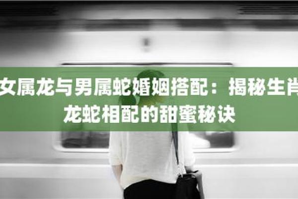 属龙男女相配度分析：是否能携手一生？