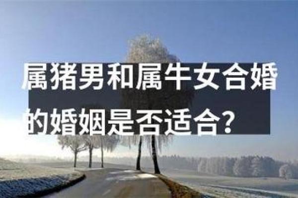 男牛女牛是否天生合适？婚姻中的优势与难题