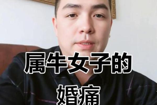 男牛女牛是否天生合适？婚姻中的优势与难题