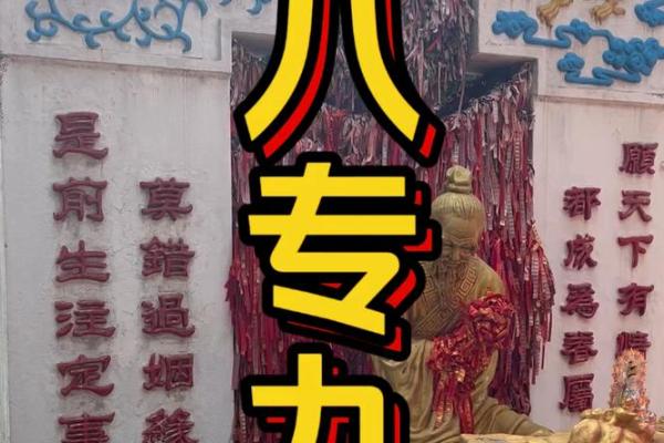 八字九丑命格解析，如何调整运势走向