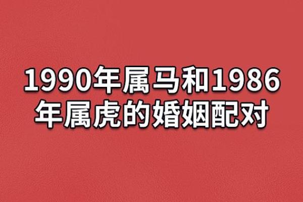 虎男龙女婚姻契合度高吗