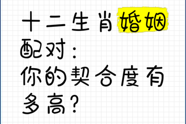 虎男龙女婚姻契合度高吗
