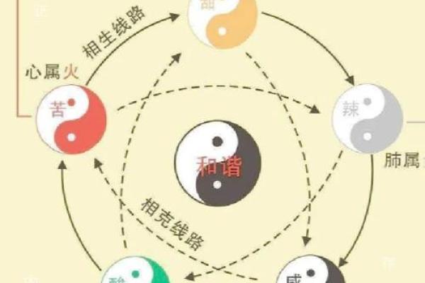 中医五行图解：如何通过五行平衡改善健康