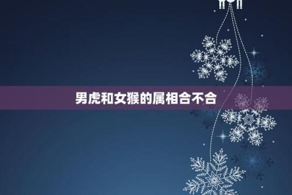 属虎女与属猴男能走多远的爱情关系