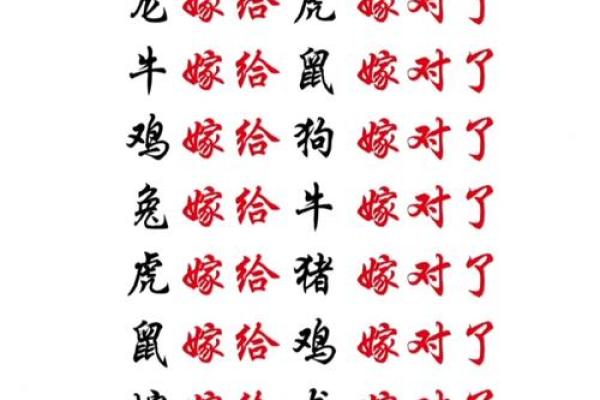 男属鼠女属龙的缘分与挑战：适合在一起吗？