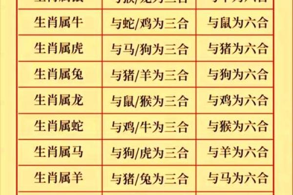 男属鼠女属龙的缘分与挑战：适合在一起吗？
