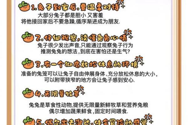 兔女本命年如何提高自己的情绪控制能力
