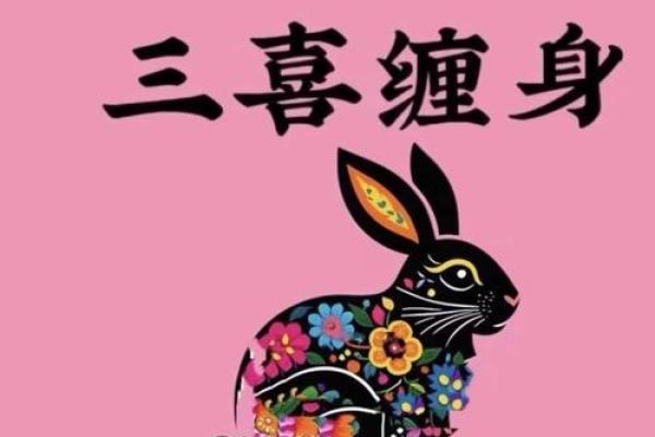 本命年兔女需避开的禁忌