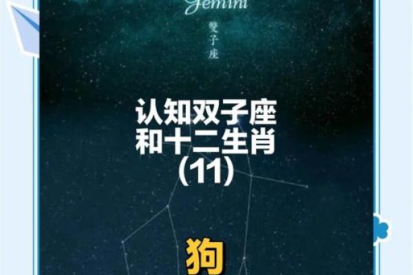 龙与狗的配对：星座缘分是否能走得长