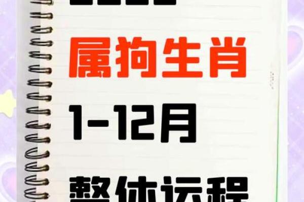 属狗人的本命年运势吉凶解析