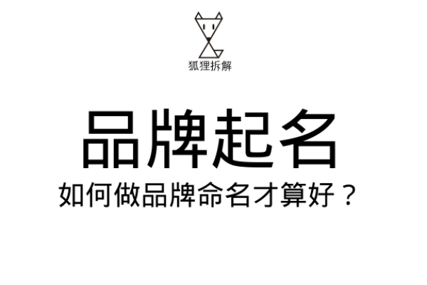 如何选择最佳国外公司起名软件提升品牌影响力