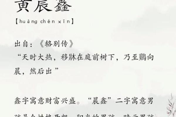 金字寓意的男孩名字，彰显尊贵与力量