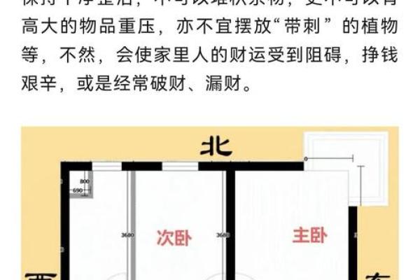 风水正五行：如何运用五行调整家居布局提升运势