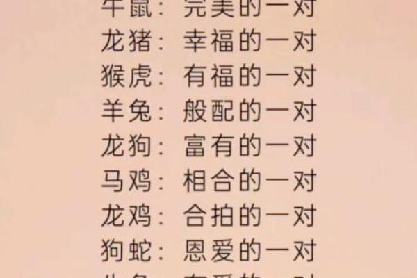 属鼠男与属兔女的性格契合度探讨