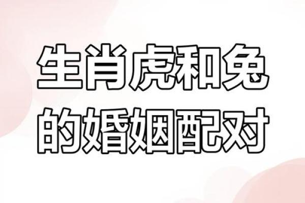 属鼠男与属兔女的性格契合度探讨
