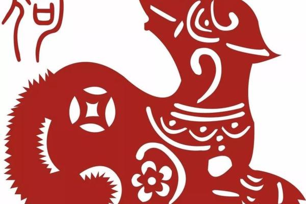 本命年属狗人如何保持身体健康
