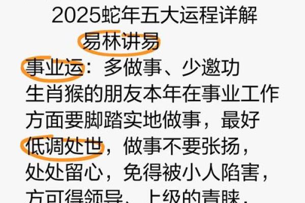 猴年运势全面解析