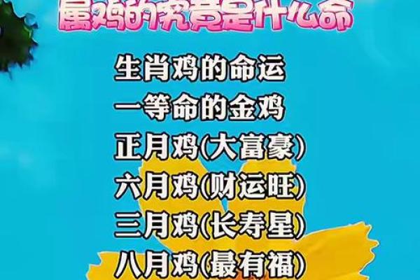 风水鸡摆放位置如何提升财运与健康运