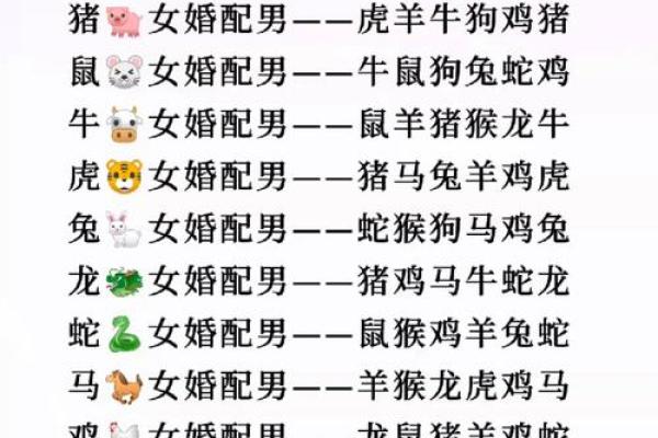 龙猪属相是否相配 解析两者性格与婚配的默契度