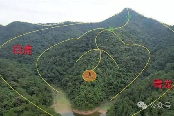 坟地风水选择指南：如何挑选理想的墓地位置