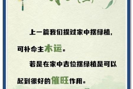 五行开运法揭秘：如何通过五行调理提升运势