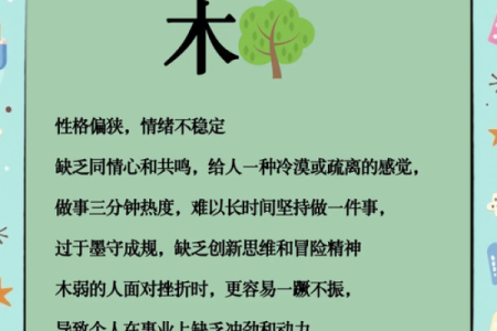 探讨木命五行缺失的影响与调和