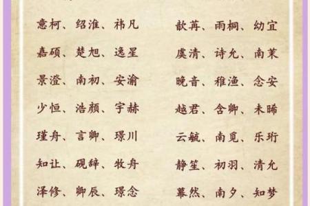 新生儿命名宝典：如何选一个有品位的名字