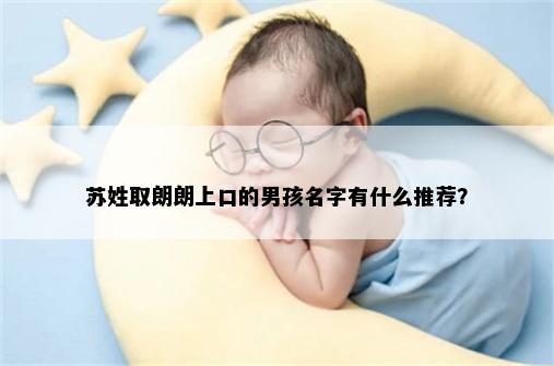 苏姓取朗朗上口的男孩名字有什么推荐？